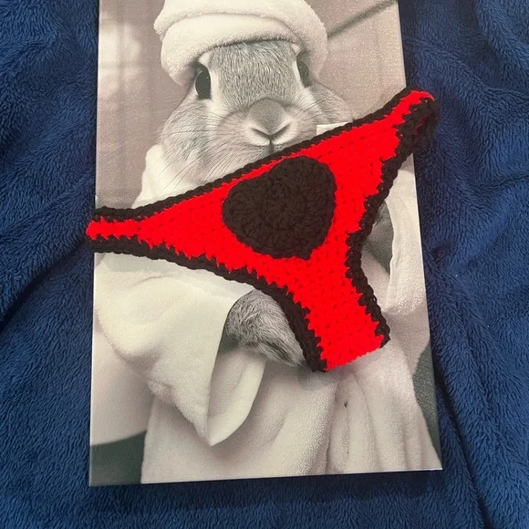 Handmade Crochet Heart Panties Bookmark Paperback - Picture 6 of 9